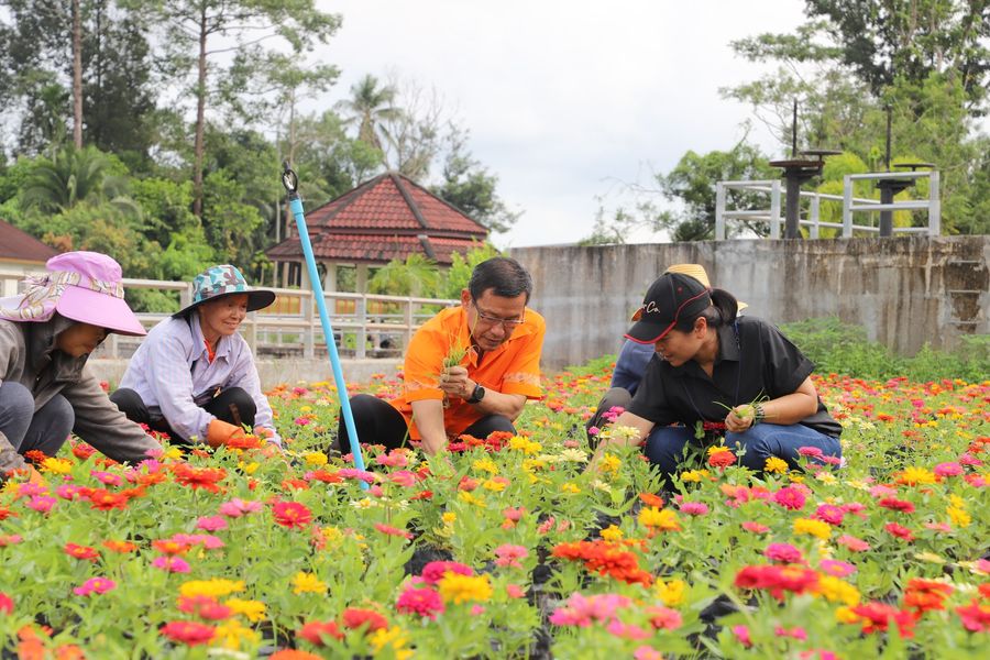 สวนเรืองแสง Image 1