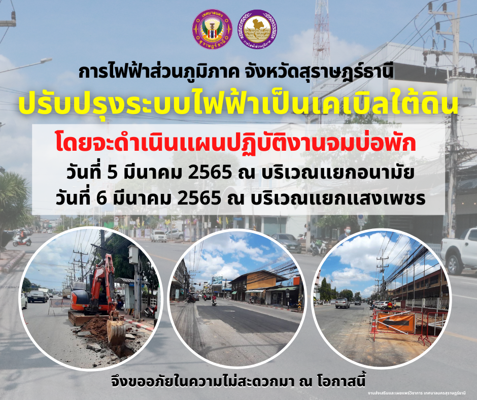 การไฟฟ้าส่วนภูมิภาค จังหวัดสุราษฎร์ธานี ปรับปรุงระบบไฟฟ้าเป็ ... รูปภาพ 2