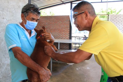 ทน.สฎ.ลงพื้นที่บริการฉีดวัคซีนป้องกันโรคพิษสุนัขบ้าฟรี!!! Image 1