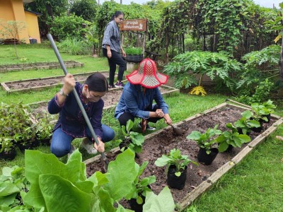 อาหารคือจุดเริ่มต้นของชีวิต 🍎🥗💦 ปลูกผักกินเอง สร้างความมั่นค ... รูปภาพ 3