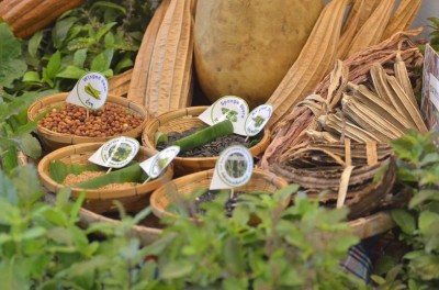 อาหารคือจุดเริ่มต้นของชีวิต 🍎🥗💦 ปลูกผักกินเอง สร้างความมั่นค ... รูปภาพ 4