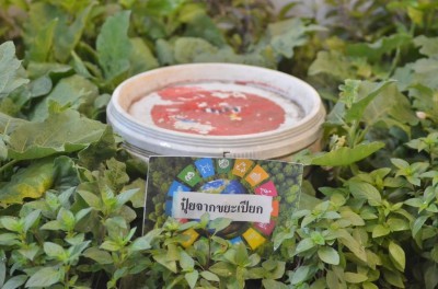 รู้หรือไม่? โลกได้เข้าสู่ “ภาวะโลกเดือด” 🌏🔥หลังเดือนกรกฎาคมท ... รูปภาพ 2