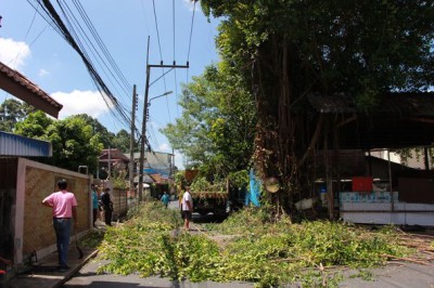 ตัดแต่งต้นไม้สามแยก หลังตลาดแม่ครู Image 1