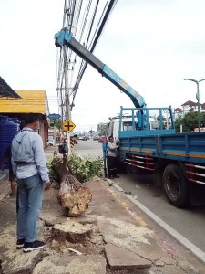 เมื่อวันที่ ๘ กรกฎาคม ๒๕๖๔ เจ้าหน้าที่งานป้องกันและบรรเทาสาธ ... Image 1