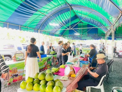 เชิญชวนเลือกซื้อสินค้า “ตลาดนัดวันอังคาร เทศบาลนครสุราษฎร์ธา ... Image 1