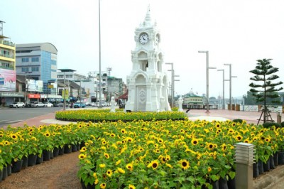 ทานตะวันบานรับสงกรานต์ @สะพานนริศ รูปภาพ 1