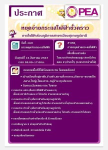การไฟฟ้าส่วนภูมิภาคสาขาเมืองสุราษฎร์ธานี Image 1