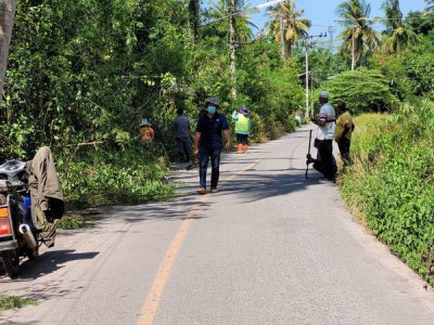 ทน.สฎ.ลงพื้นที่ร่วมพัฒนาริมถนนให้สะอาดในซอยชนเกษม๔๓ Image 1
