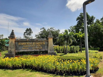 เทศบาลนครสุราษฎร์ธานี โดยสำนักช่าง ดำเนินงานด้านต่างๆ เพื่อค ... Image 1
