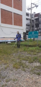 เทศบาลนครสุราษฎร์ธานี โดยสำนักช่าง ดำเนินงานด้านต่างๆ เพื่อค ... Image 1