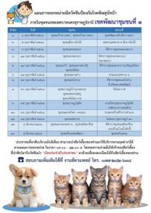เทศบาลนครสุราษฎร์ธานี ออกหน่วยเคลื่อนที่ให้บริการฉีดวัคซีนป้ ... รูปภาพ 1