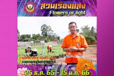 เทศบาลนครสุราษฎร์ธานี เตรียมจัดงานต้อนรับปีใหม่ 2566 รูปภาพ 1